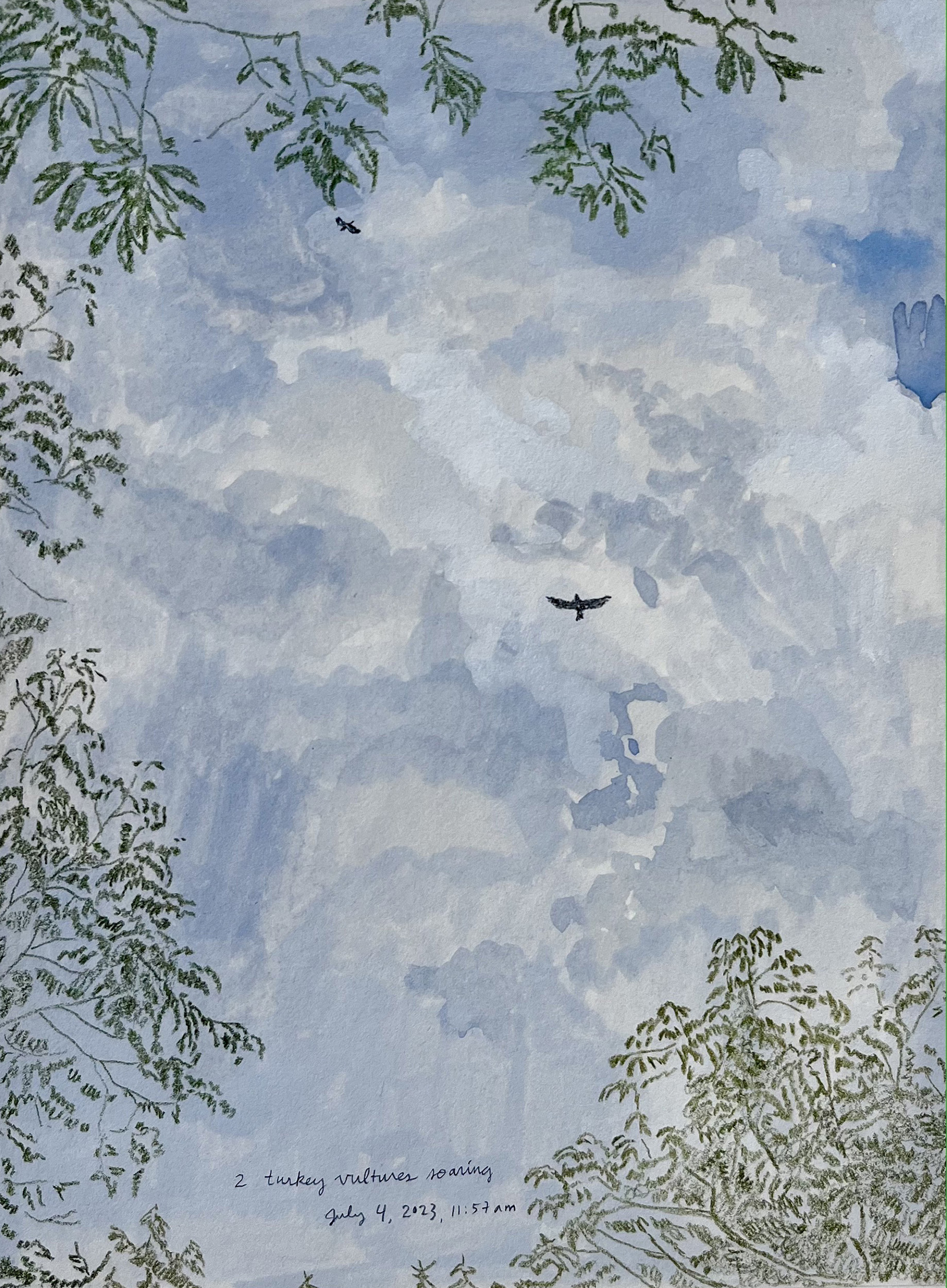 2 </br> turkey vultures soaring, 2023, gouache and colored pencil on Arches paper, 8 1/8 x 6 1/8 in.