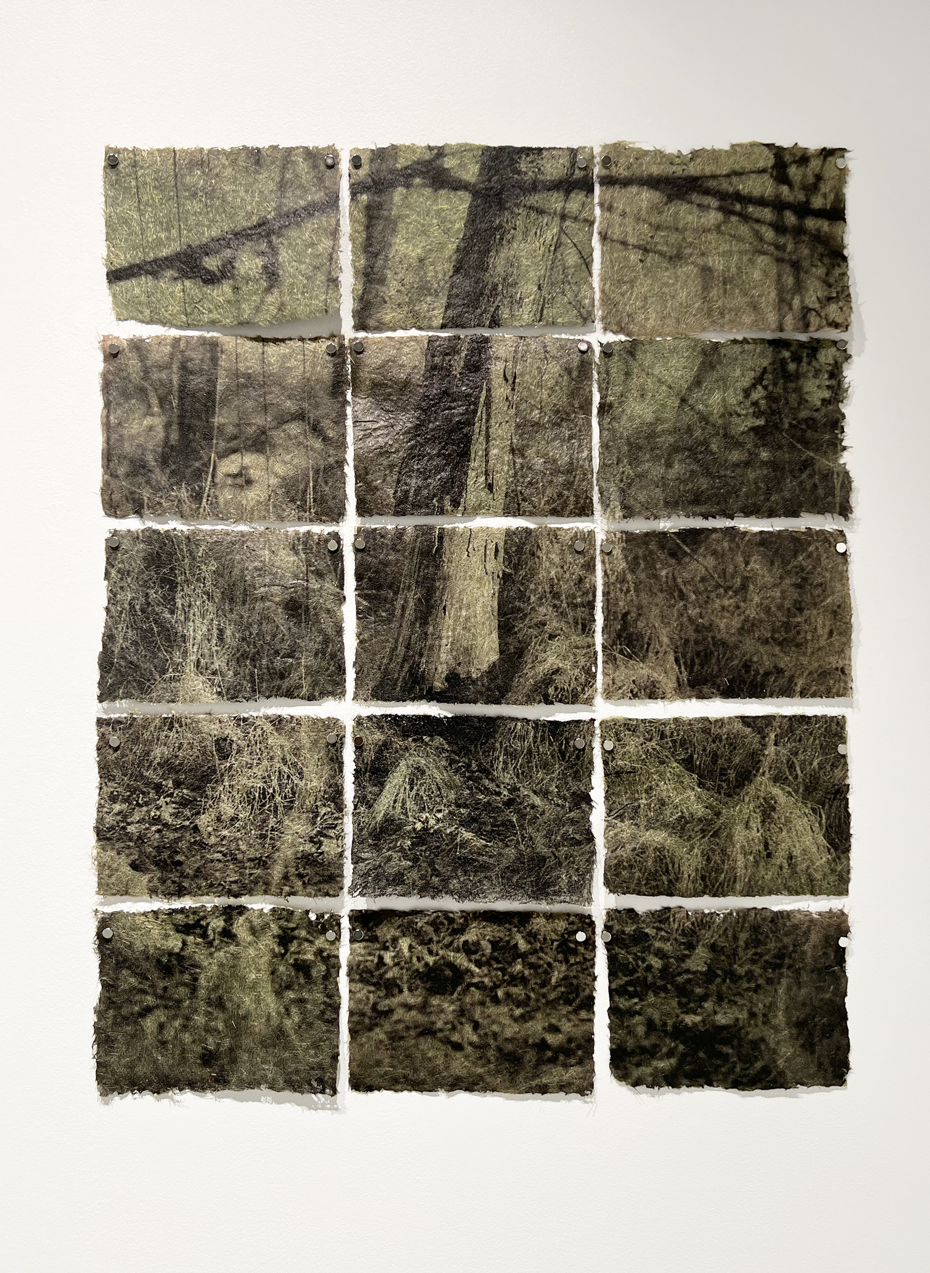 Stiltgrass, 2025, UV prints on handmade stiltgrass paper, 29 x 23″