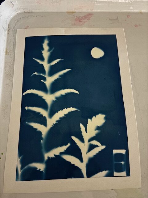 Cyanotype workshop led by Kari Varner, 2025