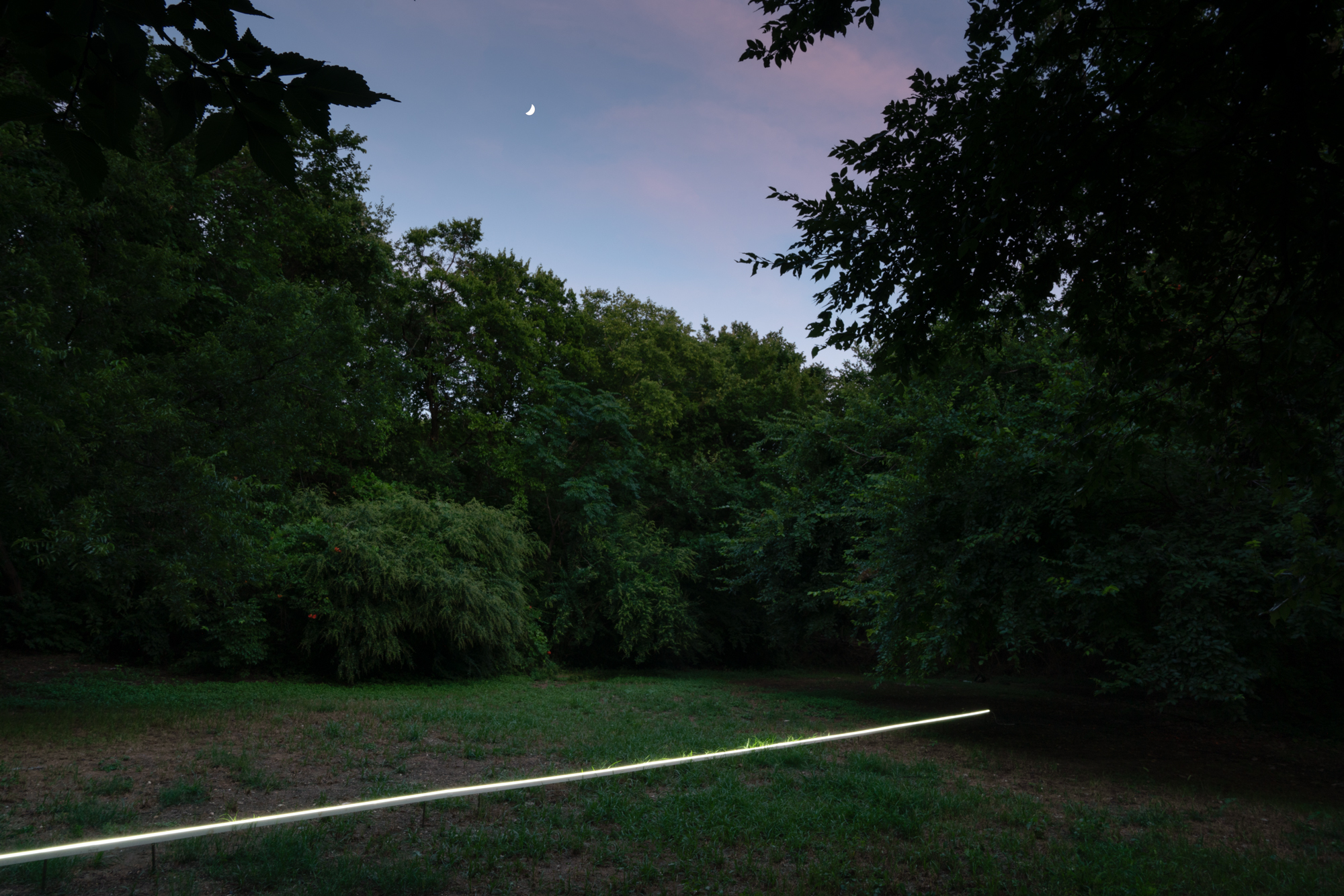 The Staff of Asclepias. Photo: Sweet Pass Sculpture Park