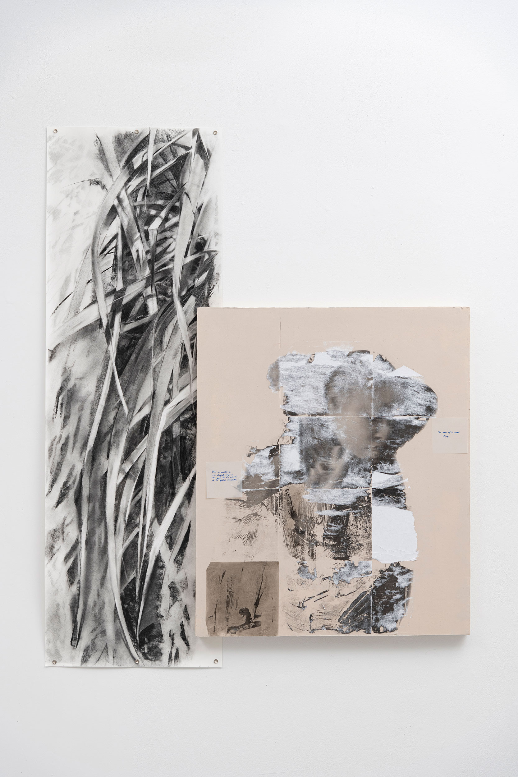 The Loves I have known, 2024, Paper, canvas, graphite, ink and charcoal, 60” x 46 ½”