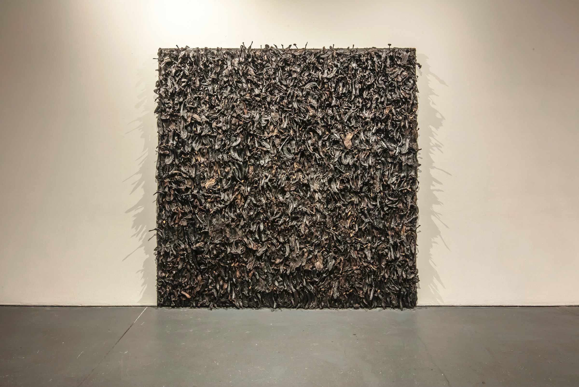 “Bananas, Bananas, Bananas,” 2022-23 exhibition, Real Art Ways. Photo credit: Peter Brown